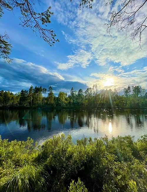 Vandringsleder Värmland Glaskogen