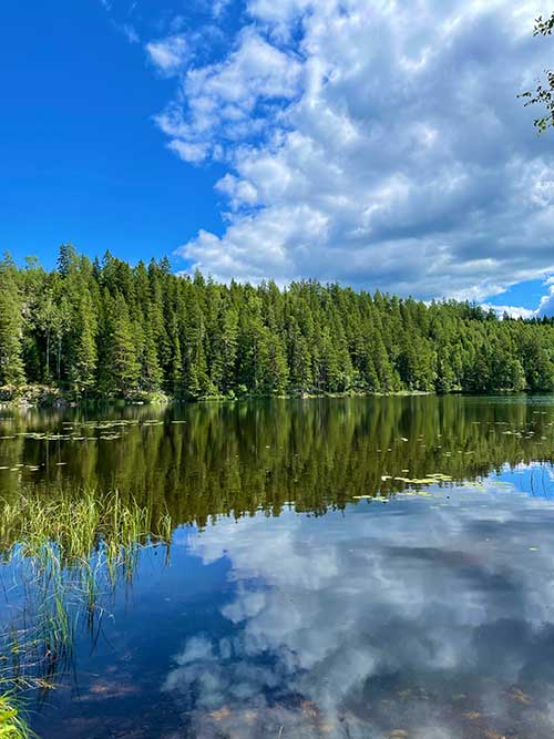 Vandringsleder i Värmland