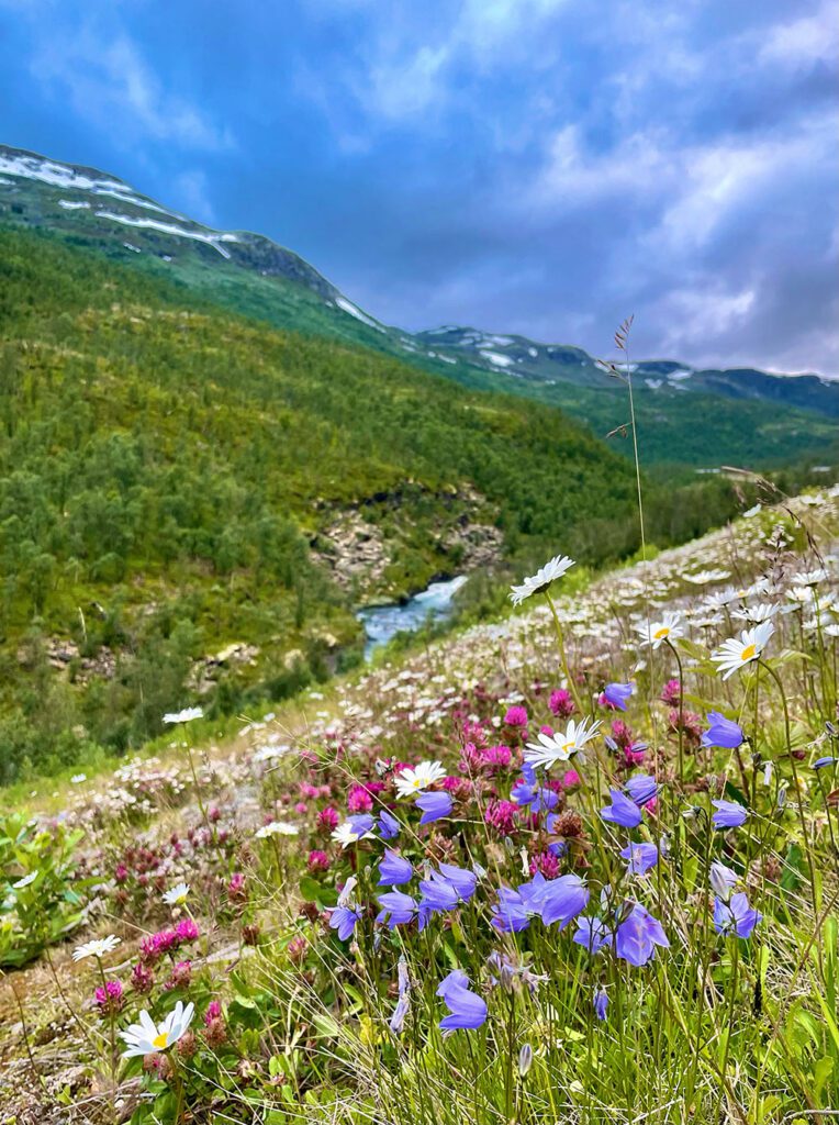 Gudvangen Naeroyfjorden