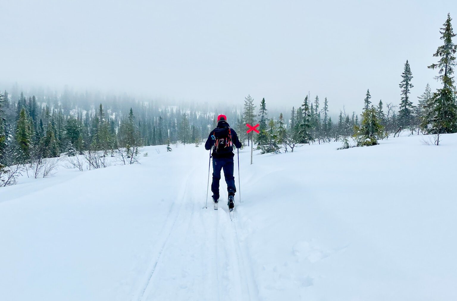 Vemdalen turskidor