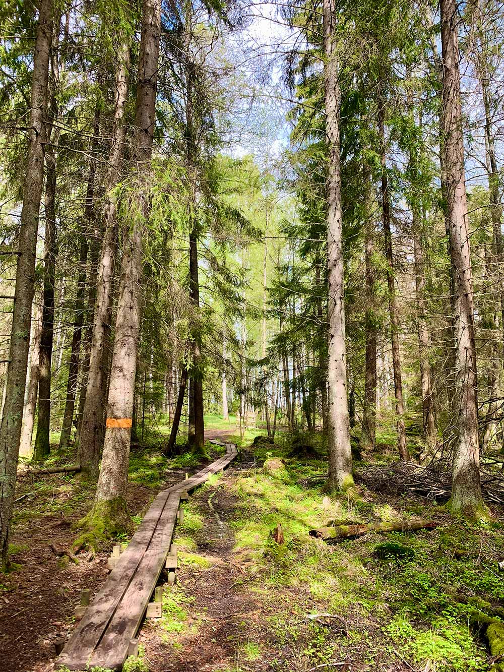 Vandringsleder Karlstad