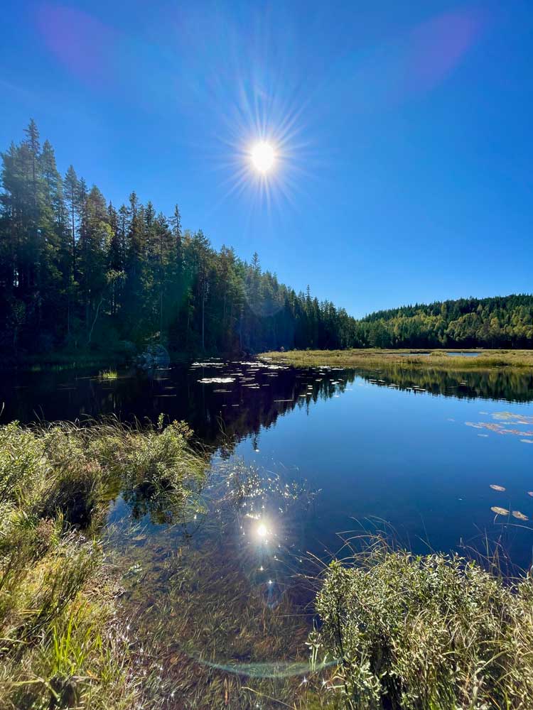 Vandring i Glaskogen