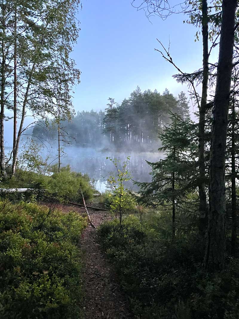 Vandring i Glaskogen