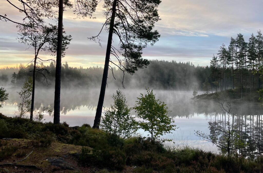 Vandring i Glaskogen