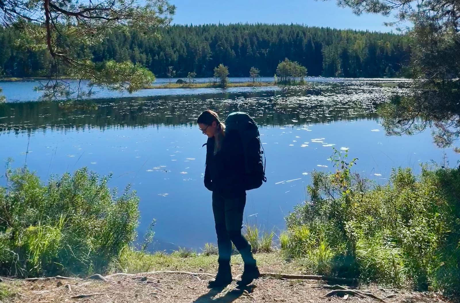 Vandring i Glaskogen