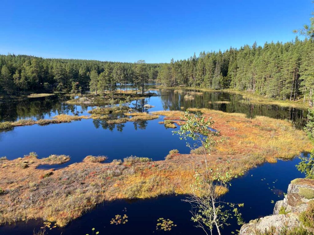 Vandring i Glaskogen